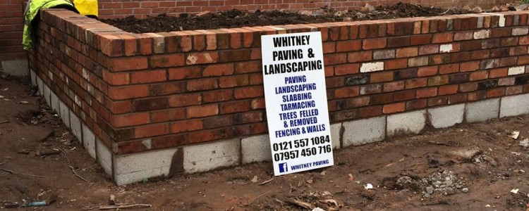 10530493_785877278172088_5010155329394662341_o